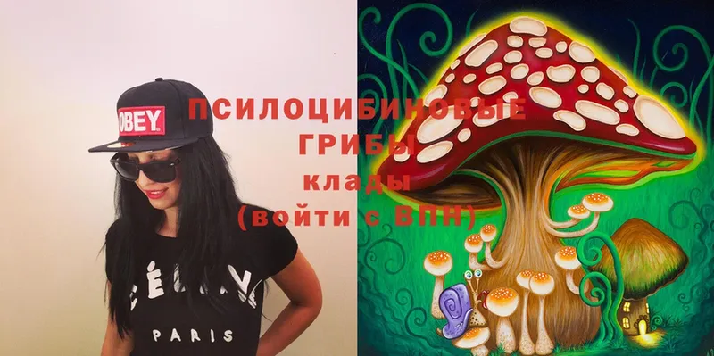 Галлюциногенные грибы MAGIC MUSHROOMS  Луховицы 